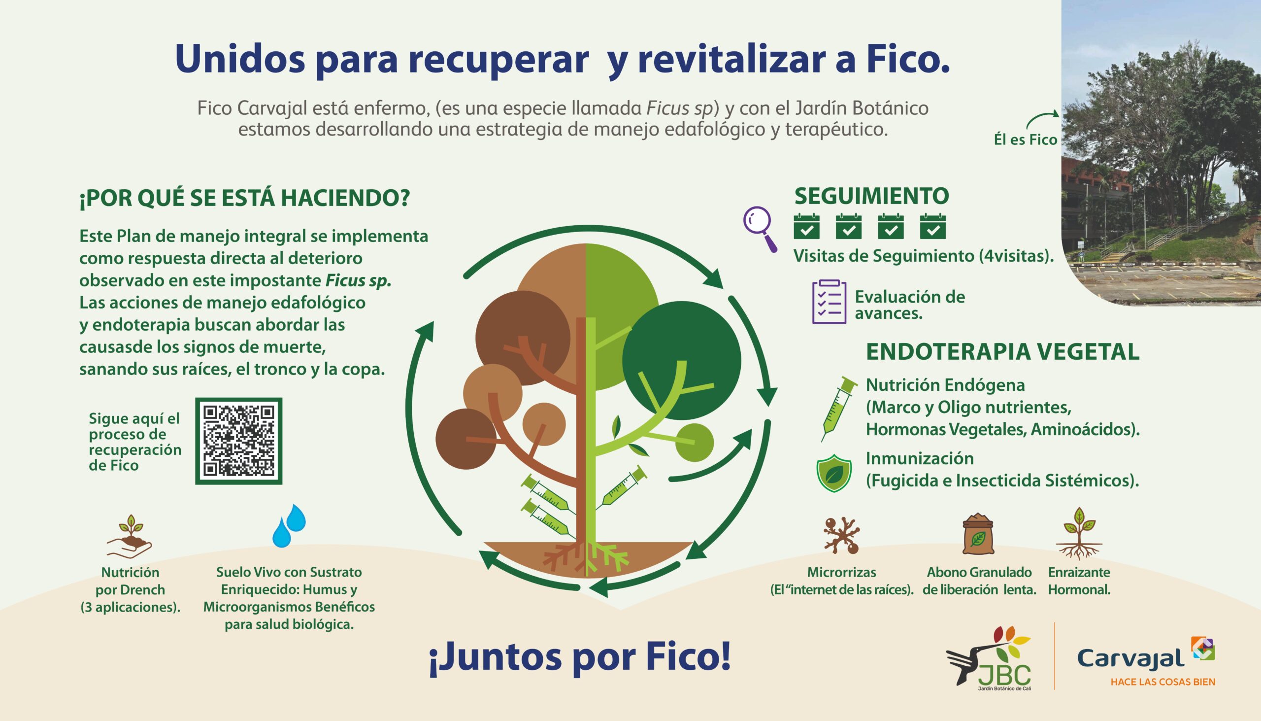 Así va Fico